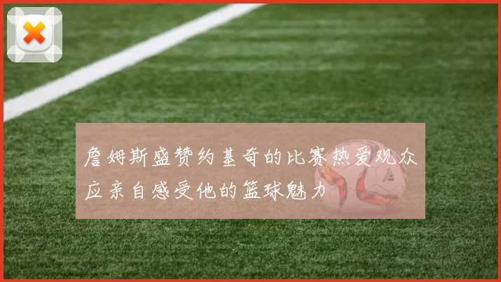 詹姆斯盛赞约基奇的比赛热爱观众应亲自感受他的篮球魅力
