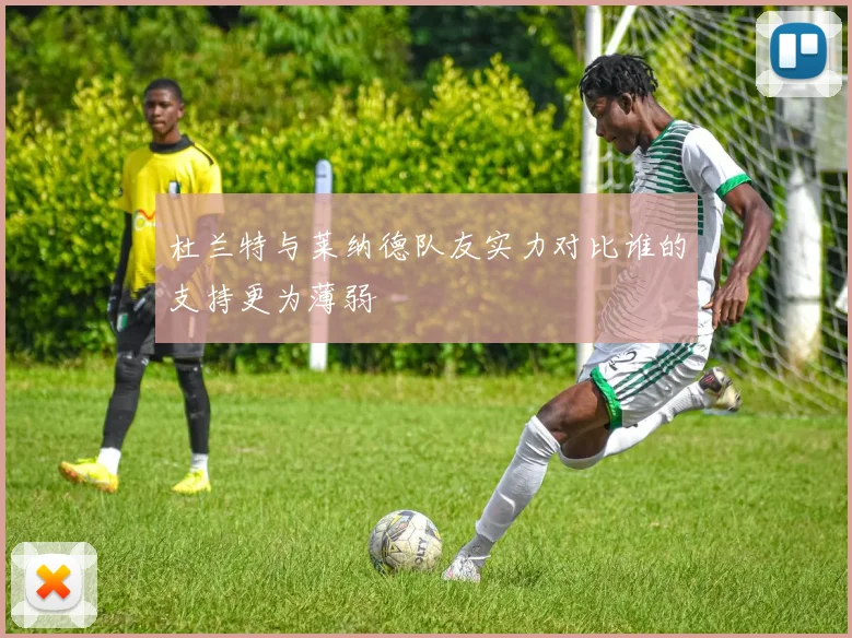 杜兰特与莱纳德队友实力对比谁的支持更为薄弱
