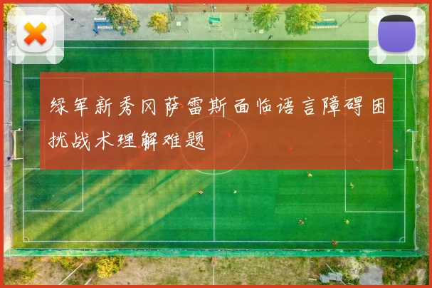 绿军新秀冈萨雷斯面临语言障碍困扰战术理解难题