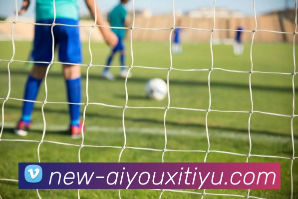 爱游戏体育品牌故事