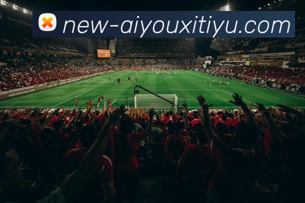 爱游戏体育服务体系